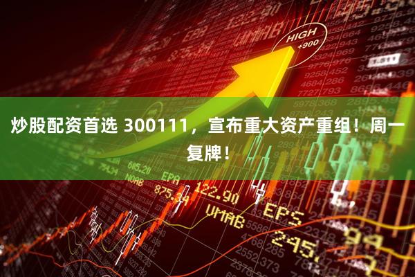 炒股配资首选 300111，宣布重大资产重组！周一复牌！